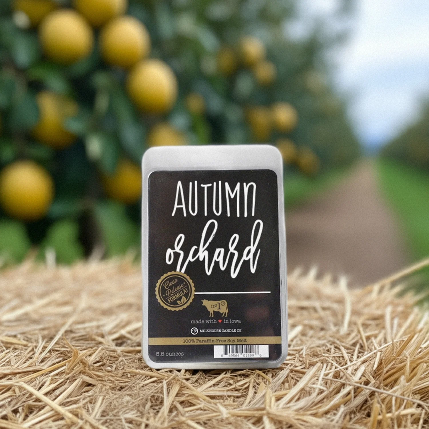 Autumn Orchard Wax Melt | 5.5 oz Melt - Image 2
