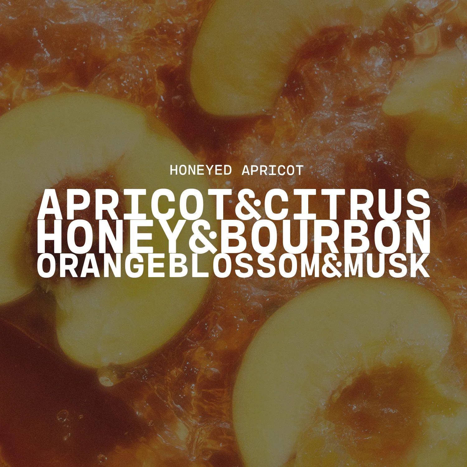 Honeyed Apricot Candle | 14 oz Milkbottle - Image 2
