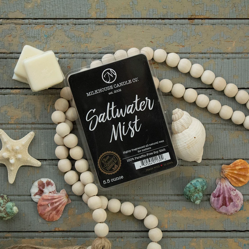Saltwater Mist Wax Melt | 5.5 oz Melt - Image 2