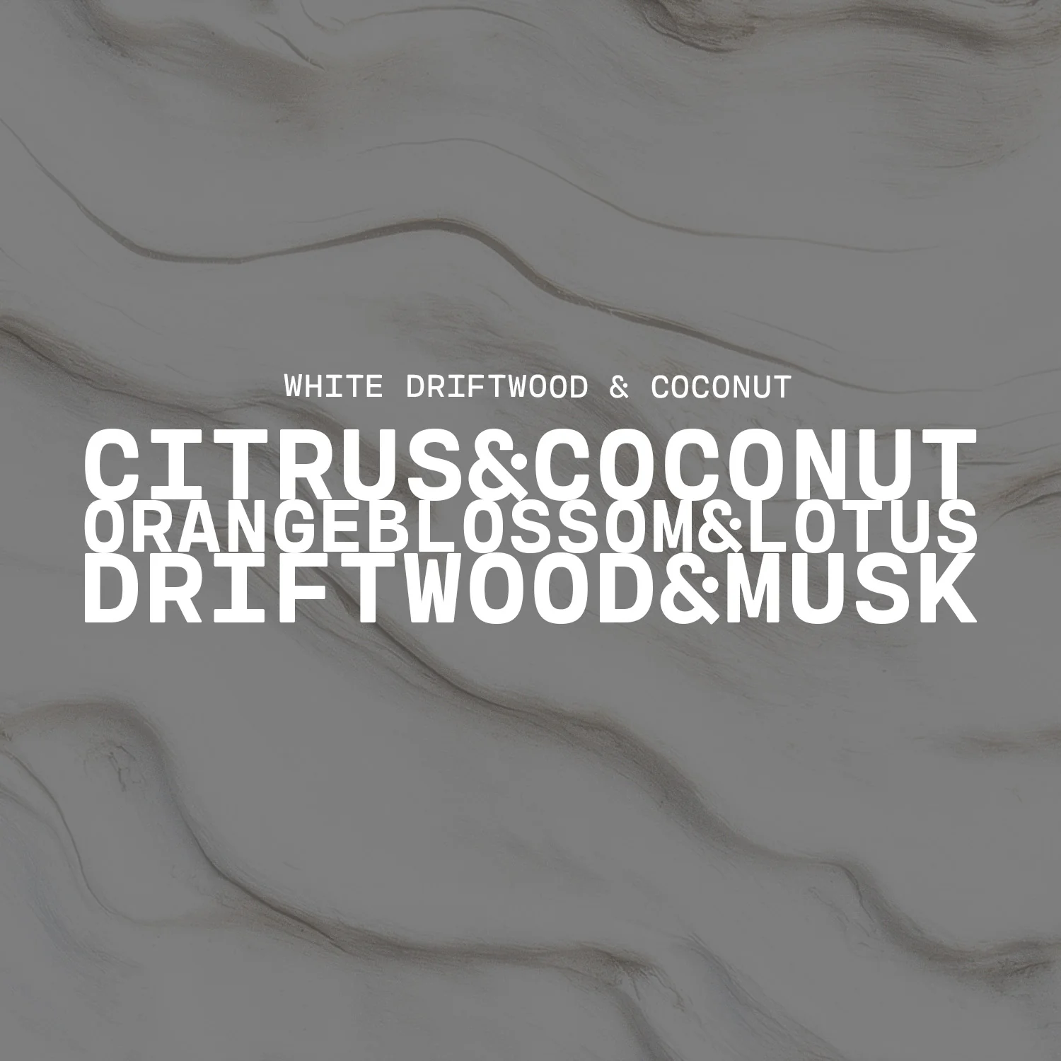 White Driftwood & Coconut Candle | 14 oz Milkbottle - Image 2