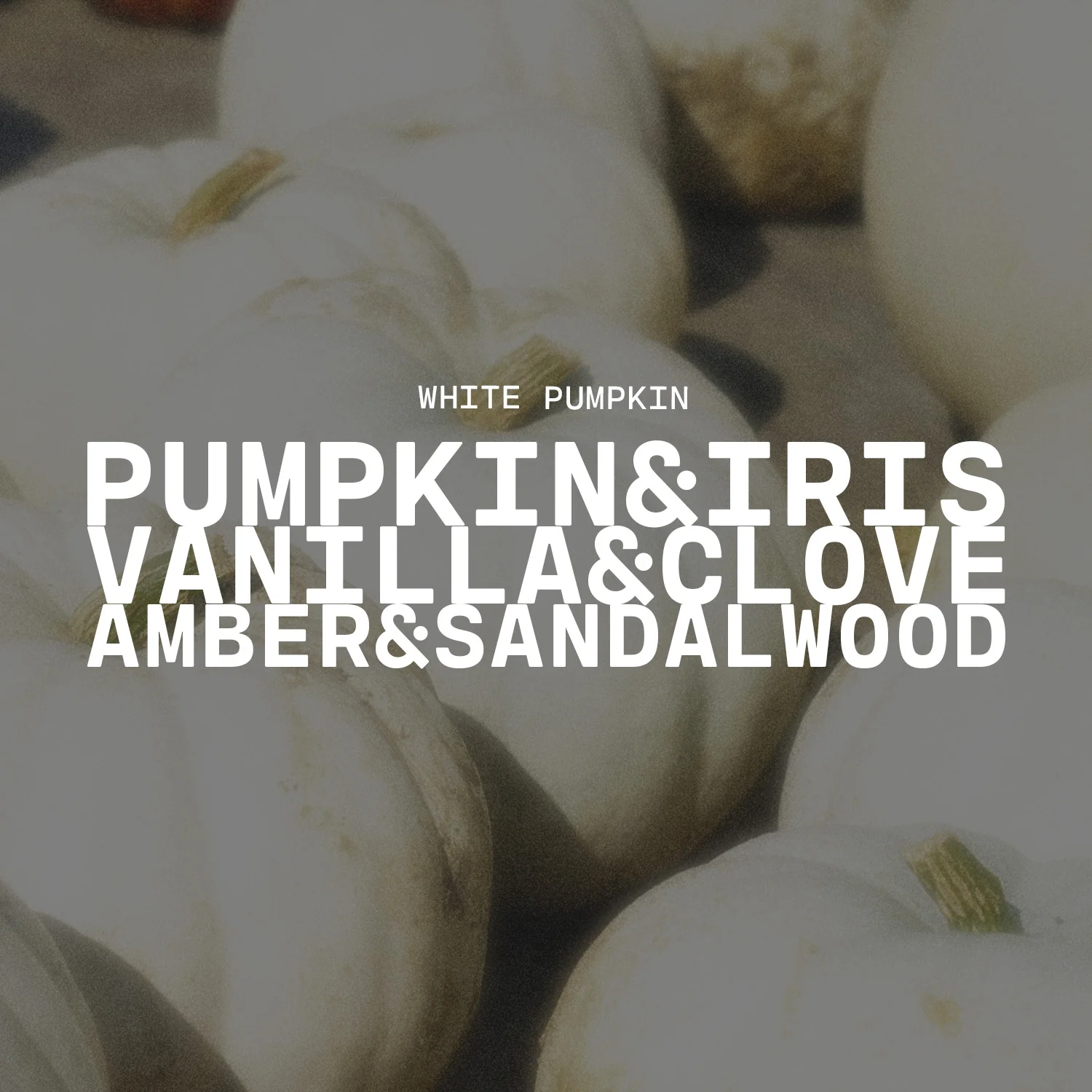 White Pumpkin Wax Melt | 5.5 oz Melt - Image 3